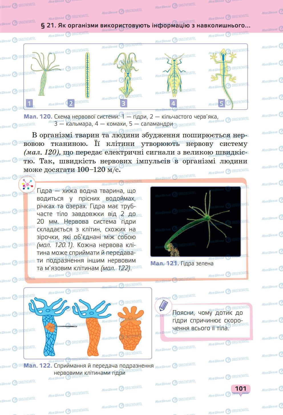 Учебники Природоведение 6 класс страница 101