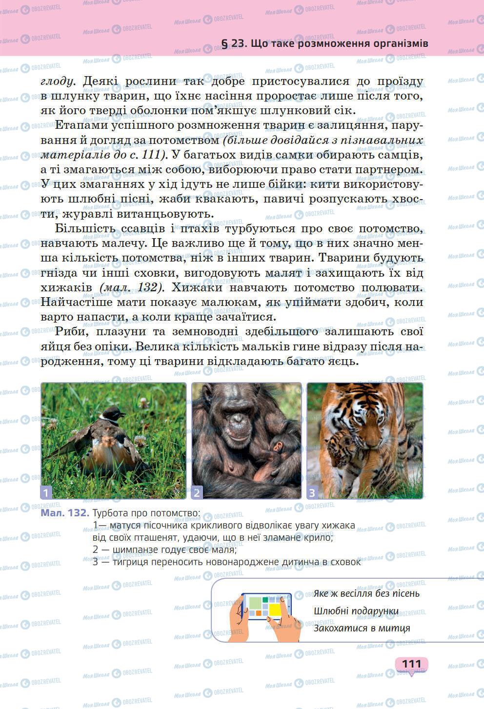 Учебники Природоведение 6 класс страница 111