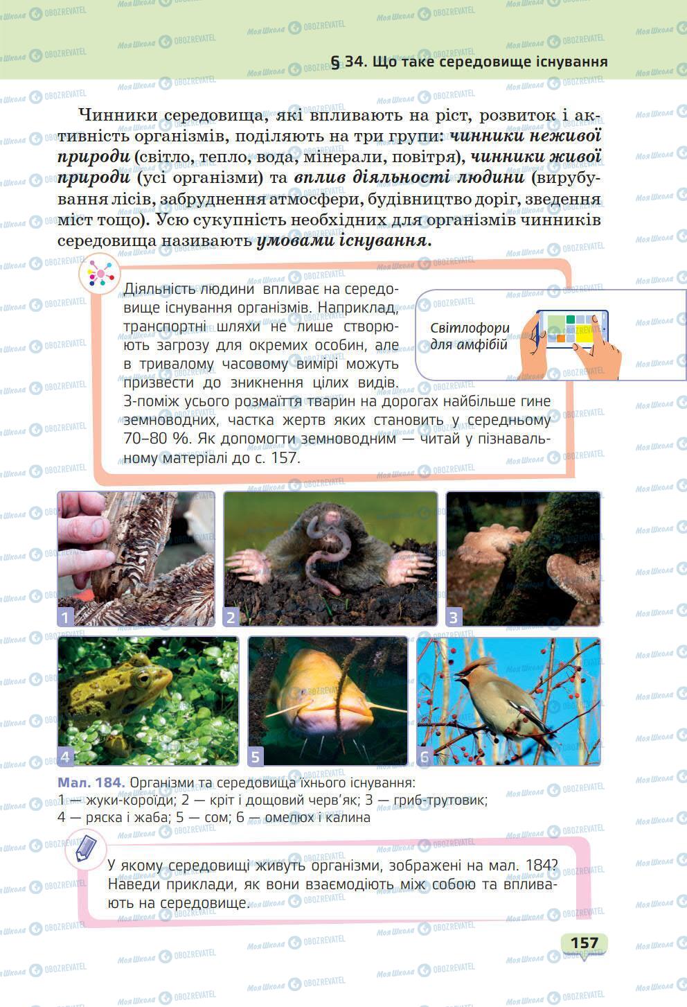 Учебники Природоведение 6 класс страница 157