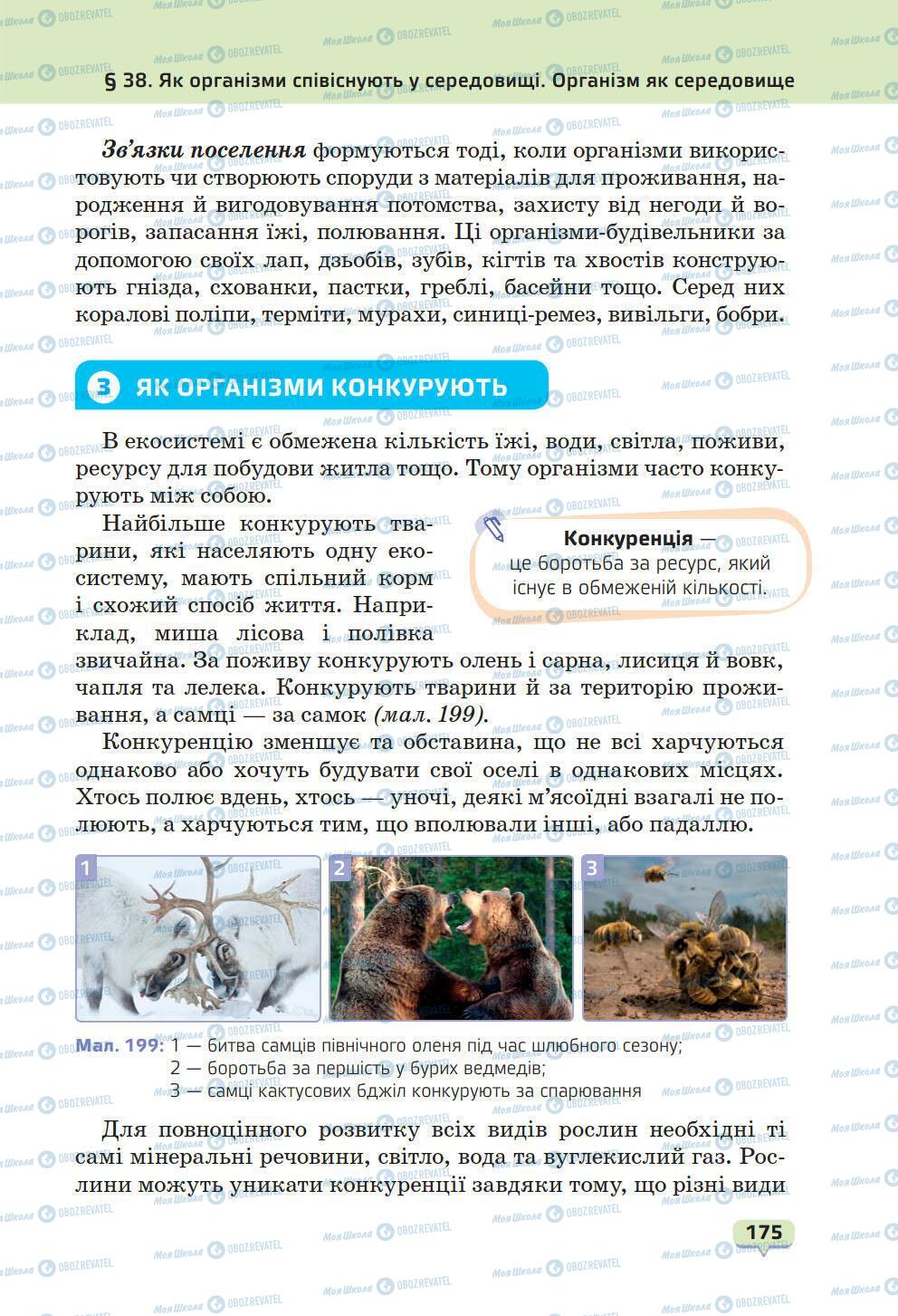 Підручники Природознавство 6 клас сторінка 175