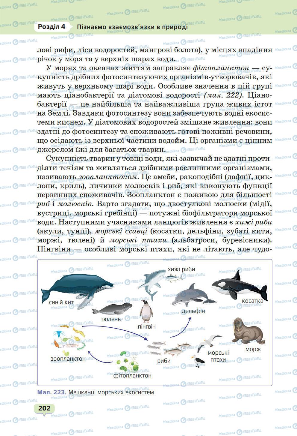 Підручники Природознавство 6 клас сторінка 202
