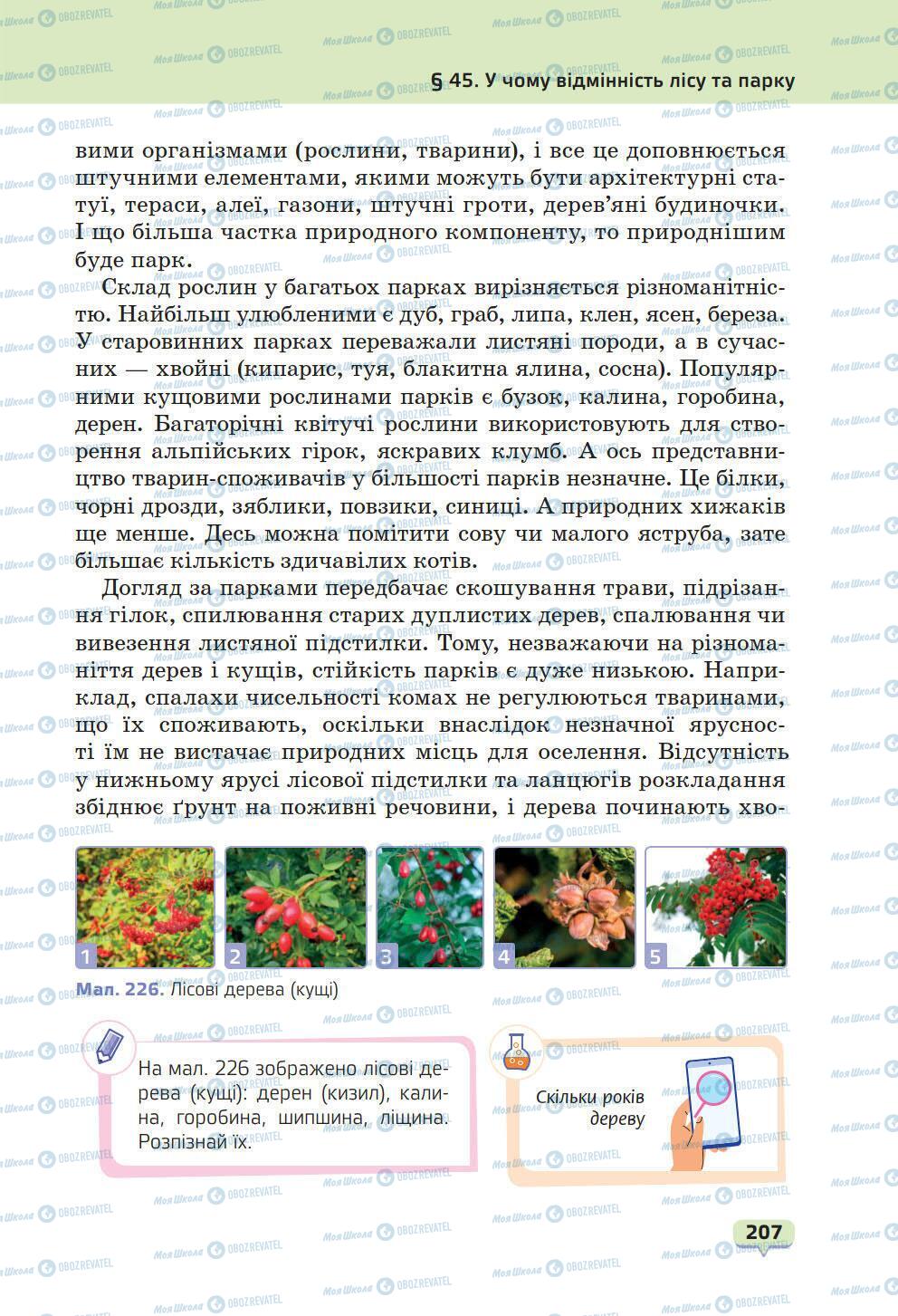 Підручники Природознавство 6 клас сторінка 207