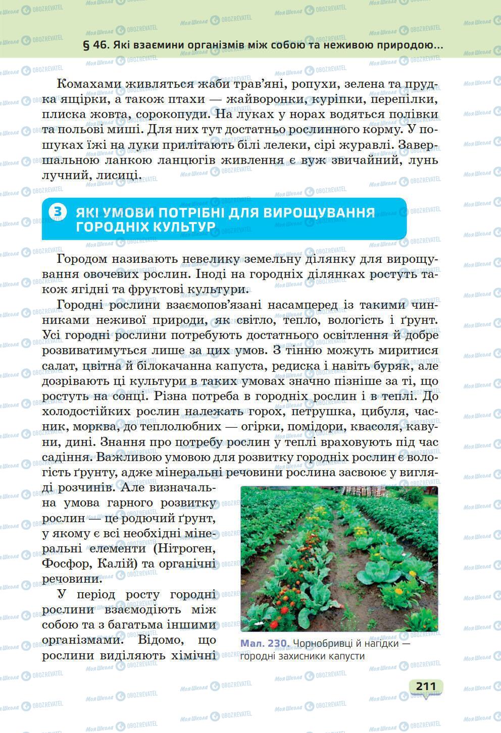 Підручники Природознавство 6 клас сторінка 211