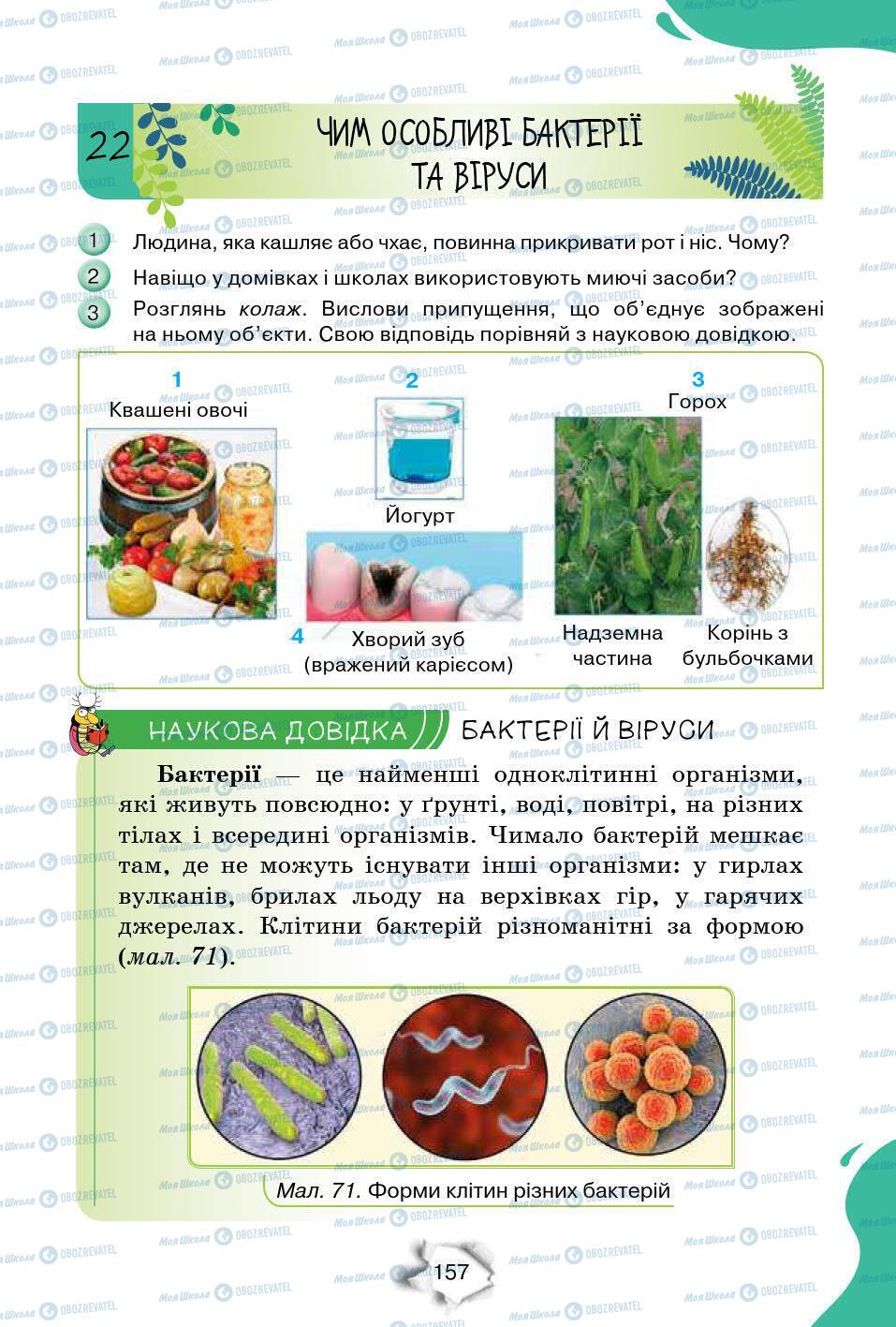 Підручники Природознавство 6 клас сторінка 157