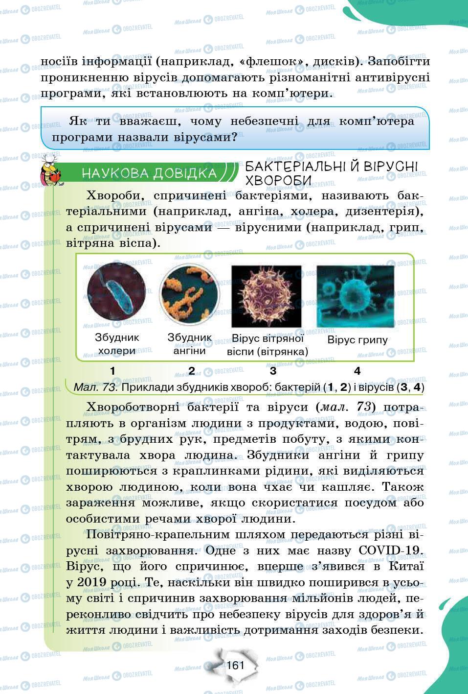 Підручники Природознавство 6 клас сторінка 161