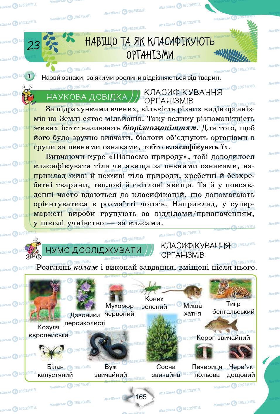 Підручники Природознавство 6 клас сторінка 165