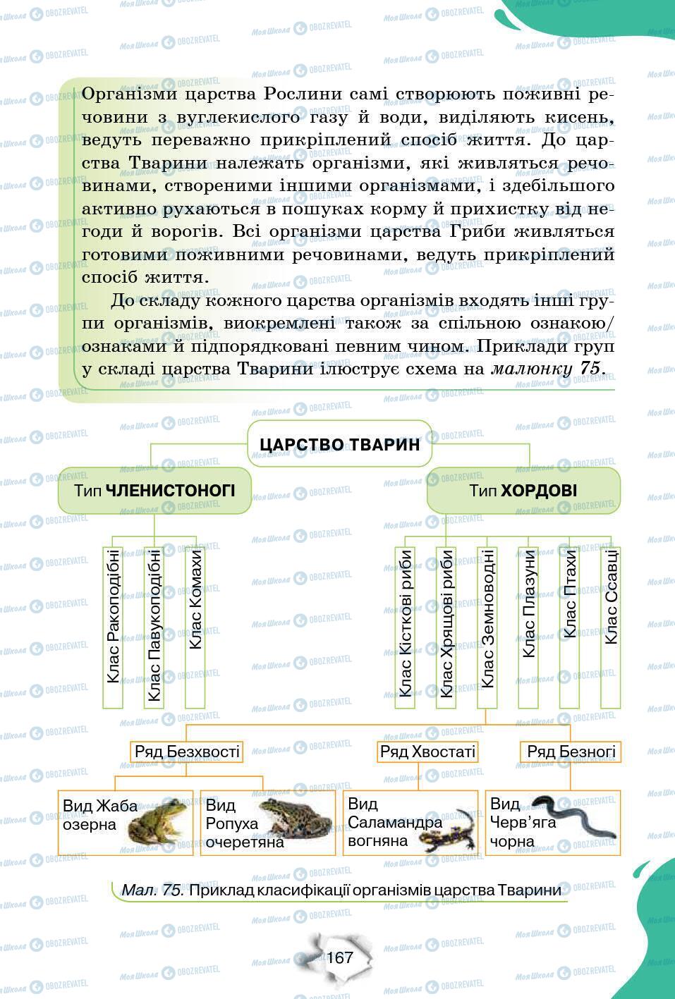 Підручники Природознавство 6 клас сторінка 167