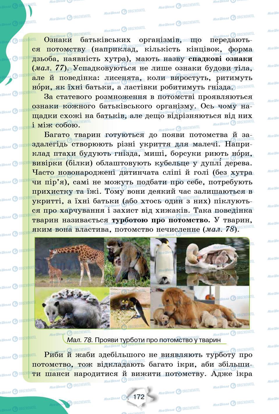Підручники Природознавство 6 клас сторінка 172