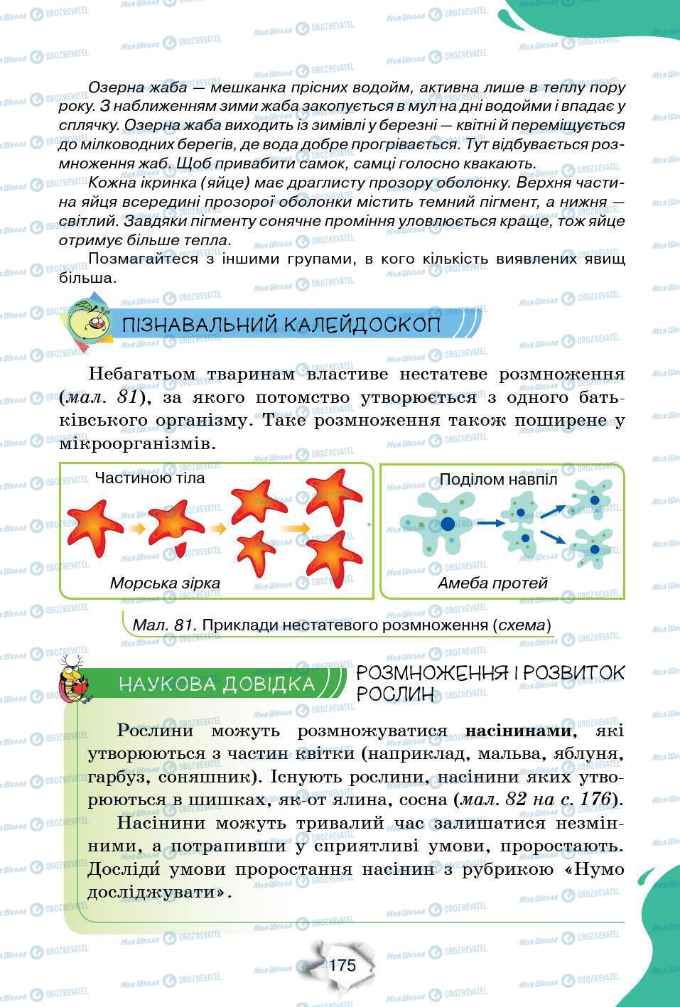 Підручники Природознавство 6 клас сторінка 175