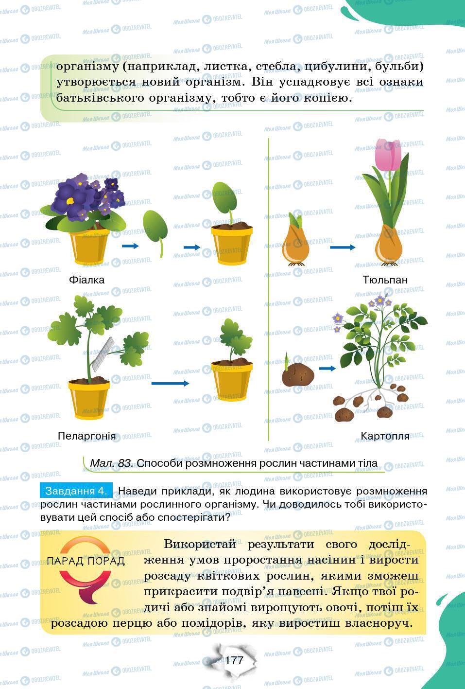 Учебники Природоведение 6 класс страница 177