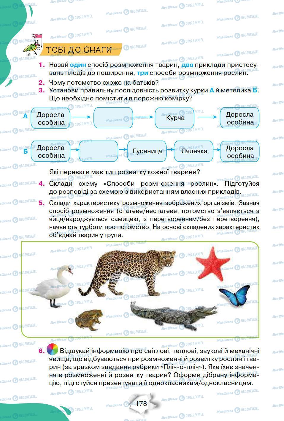 Підручники Природознавство 6 клас сторінка 178