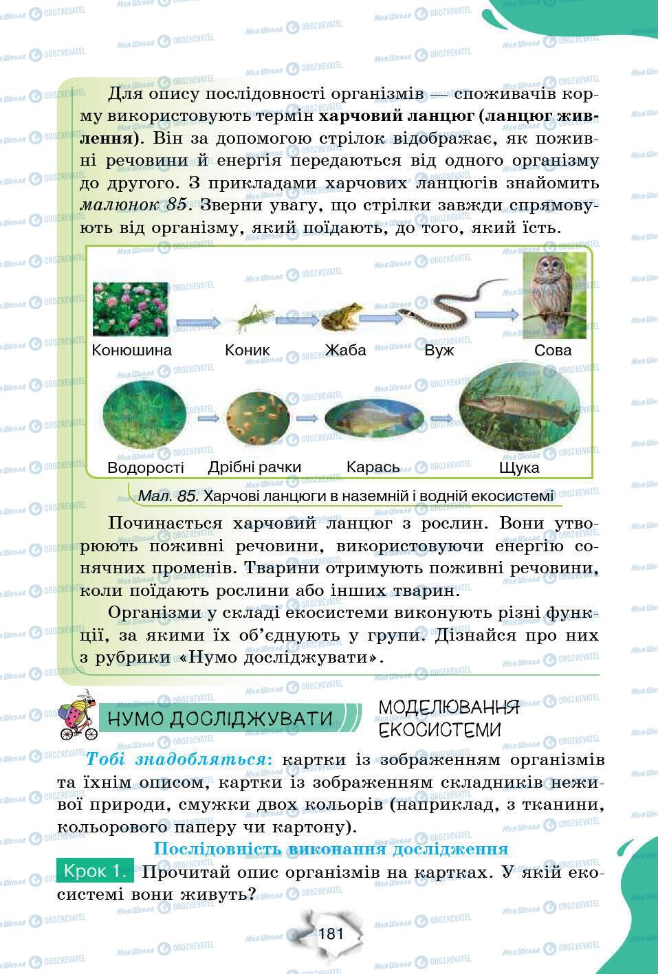 Підручники Природознавство 6 клас сторінка 181