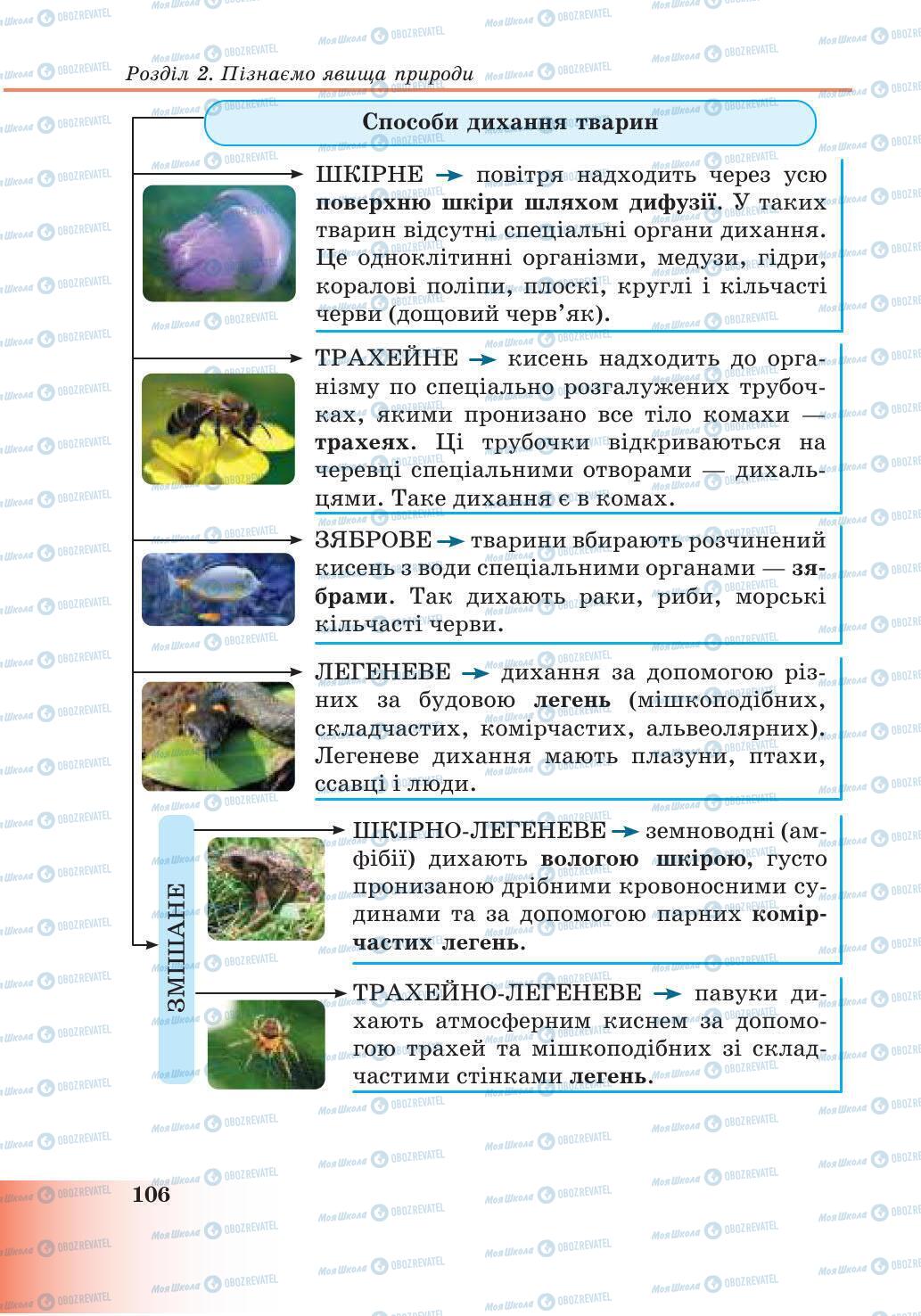 Підручники Природознавство 6 клас сторінка 106