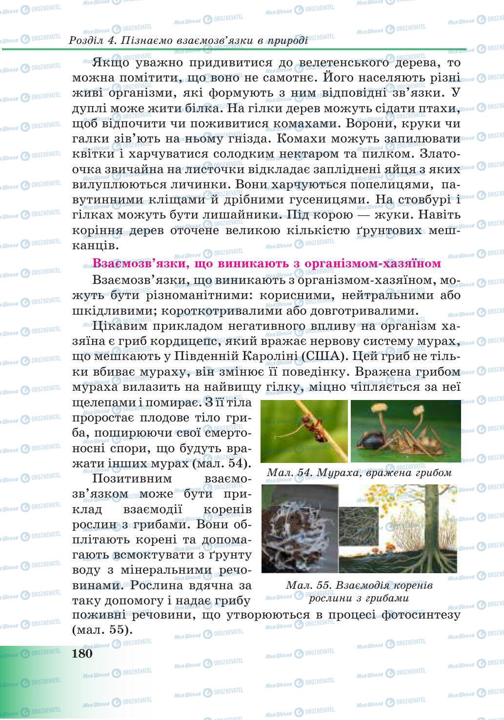 Підручники Природознавство 6 клас сторінка 180