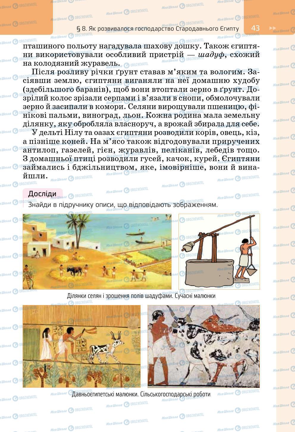 Підручники Всесвітня історія 6 клас сторінка 43