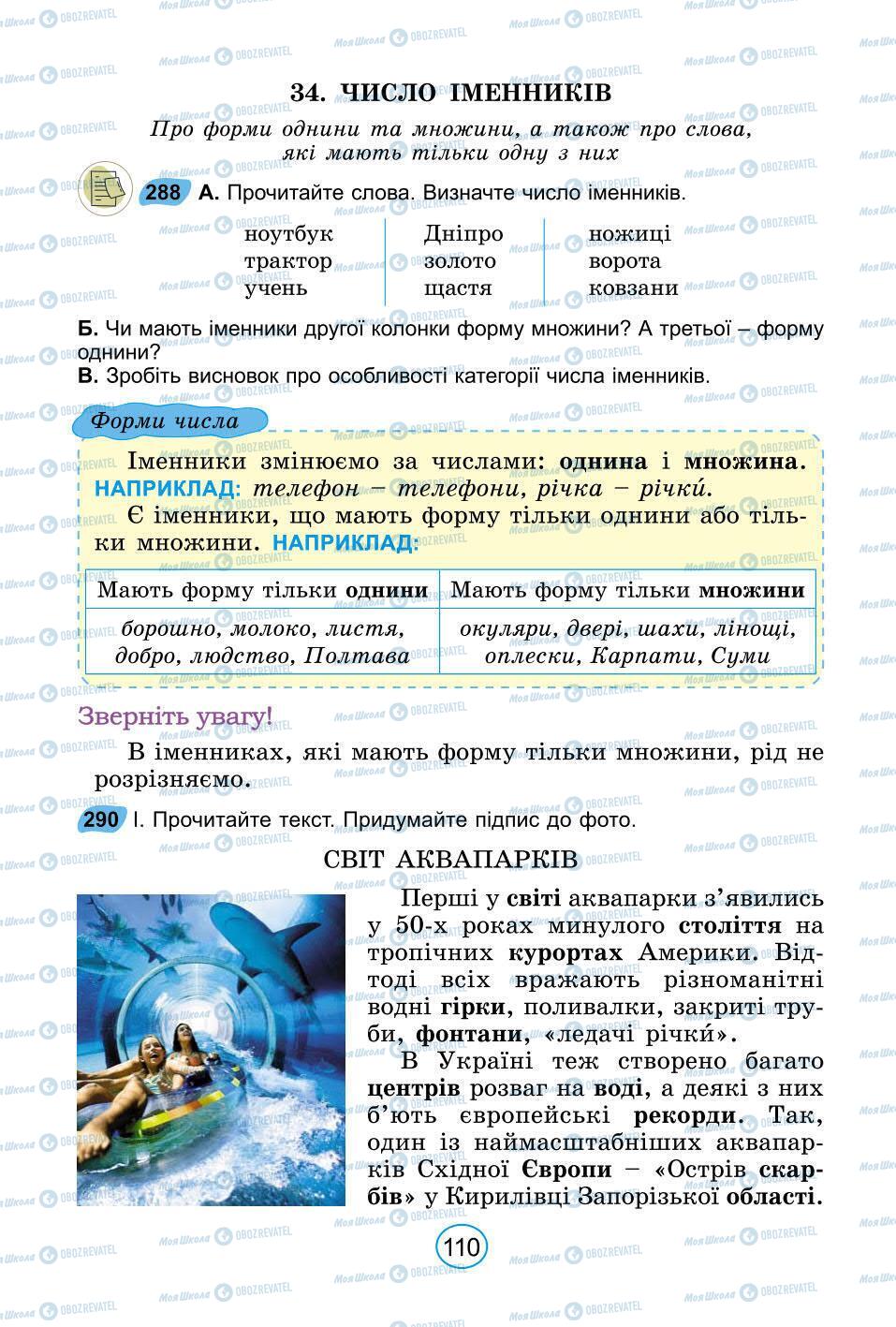 Підручники Українська мова 6 клас сторінка 110