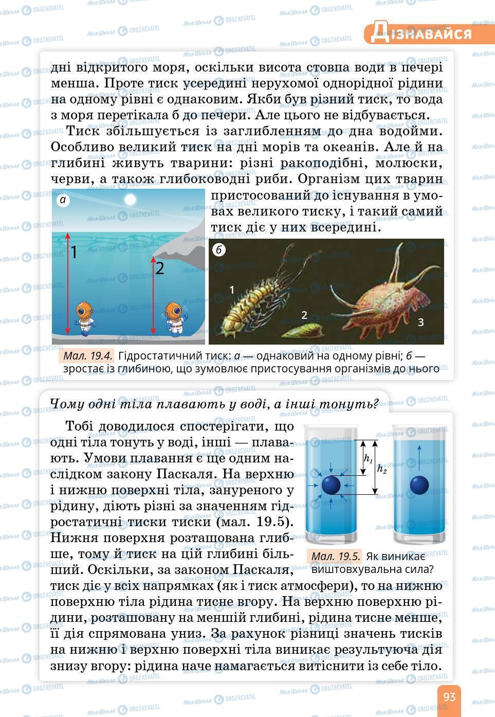 Підручники Природознавство 6 клас сторінка 93