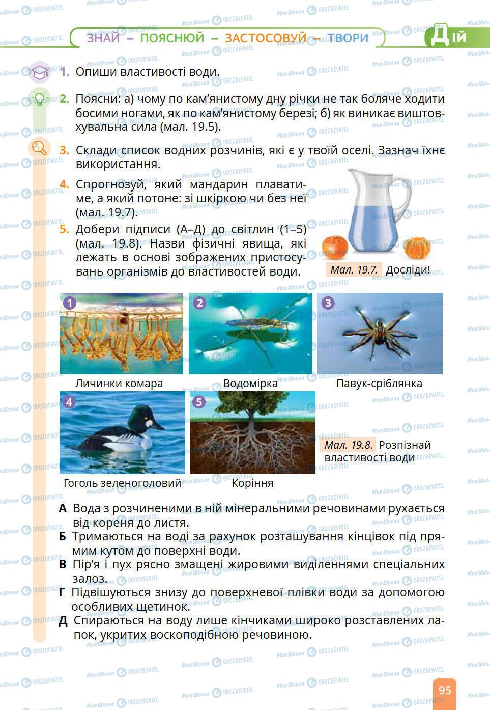 Підручники Природознавство 6 клас сторінка 95