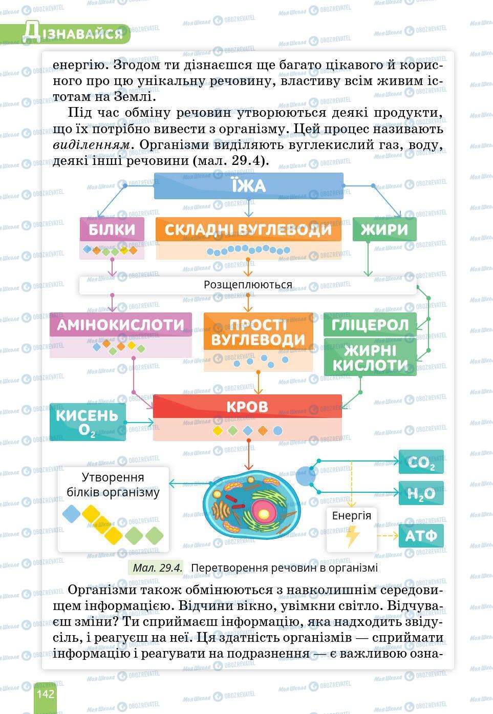 Учебники Природоведение 6 класс страница 142