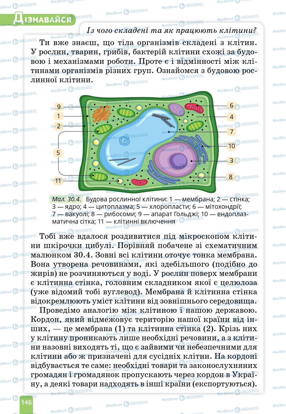 Підручники Природознавство 6 клас сторінка 146