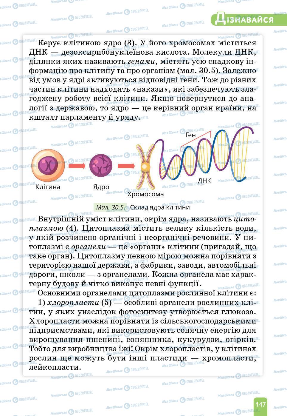 Підручники Природознавство 6 клас сторінка 147