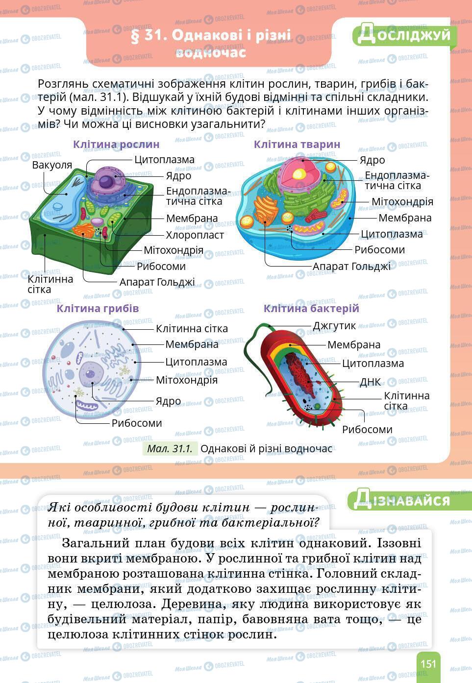 Підручники Природознавство 6 клас сторінка 151