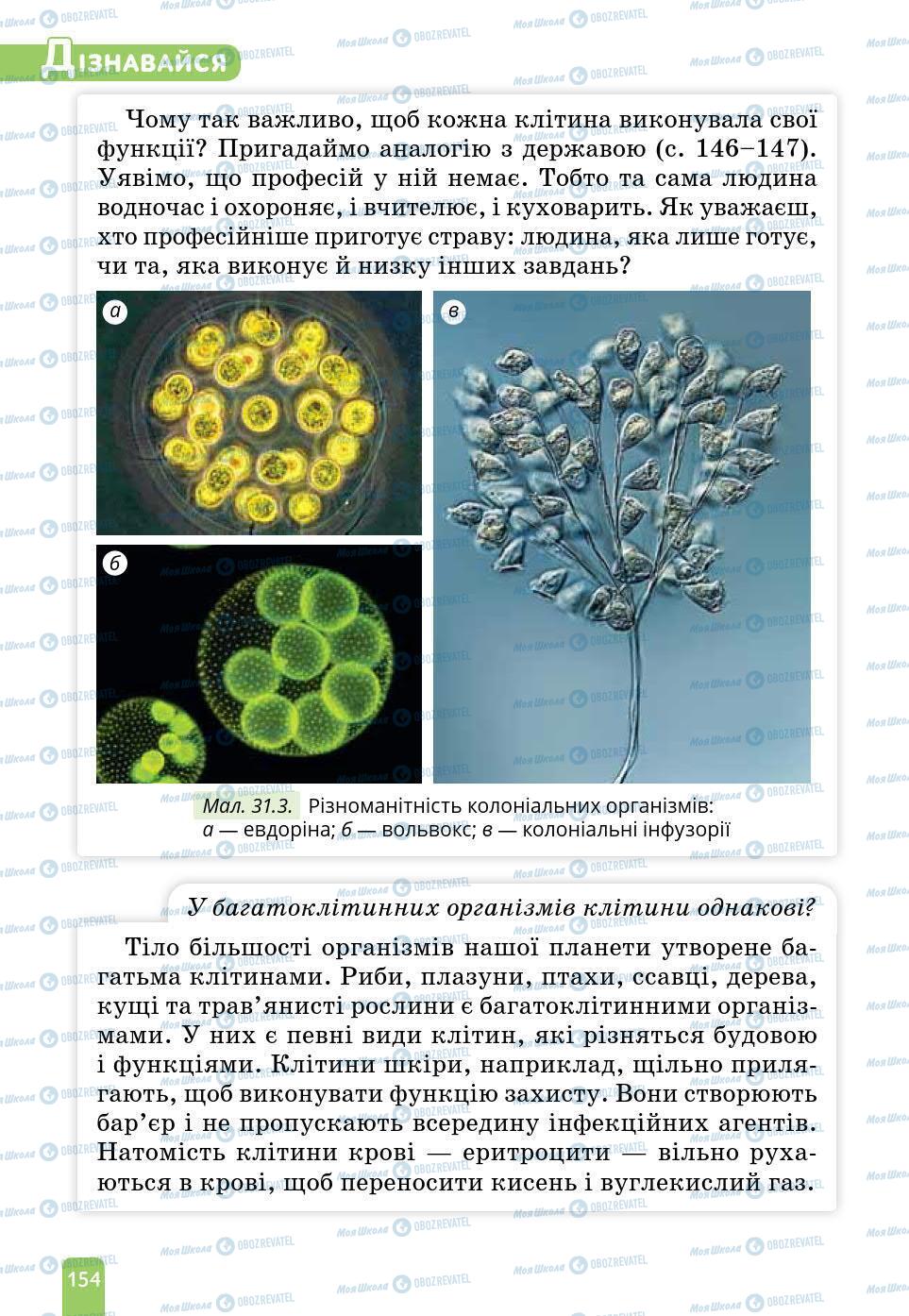 Підручники Природознавство 6 клас сторінка 154