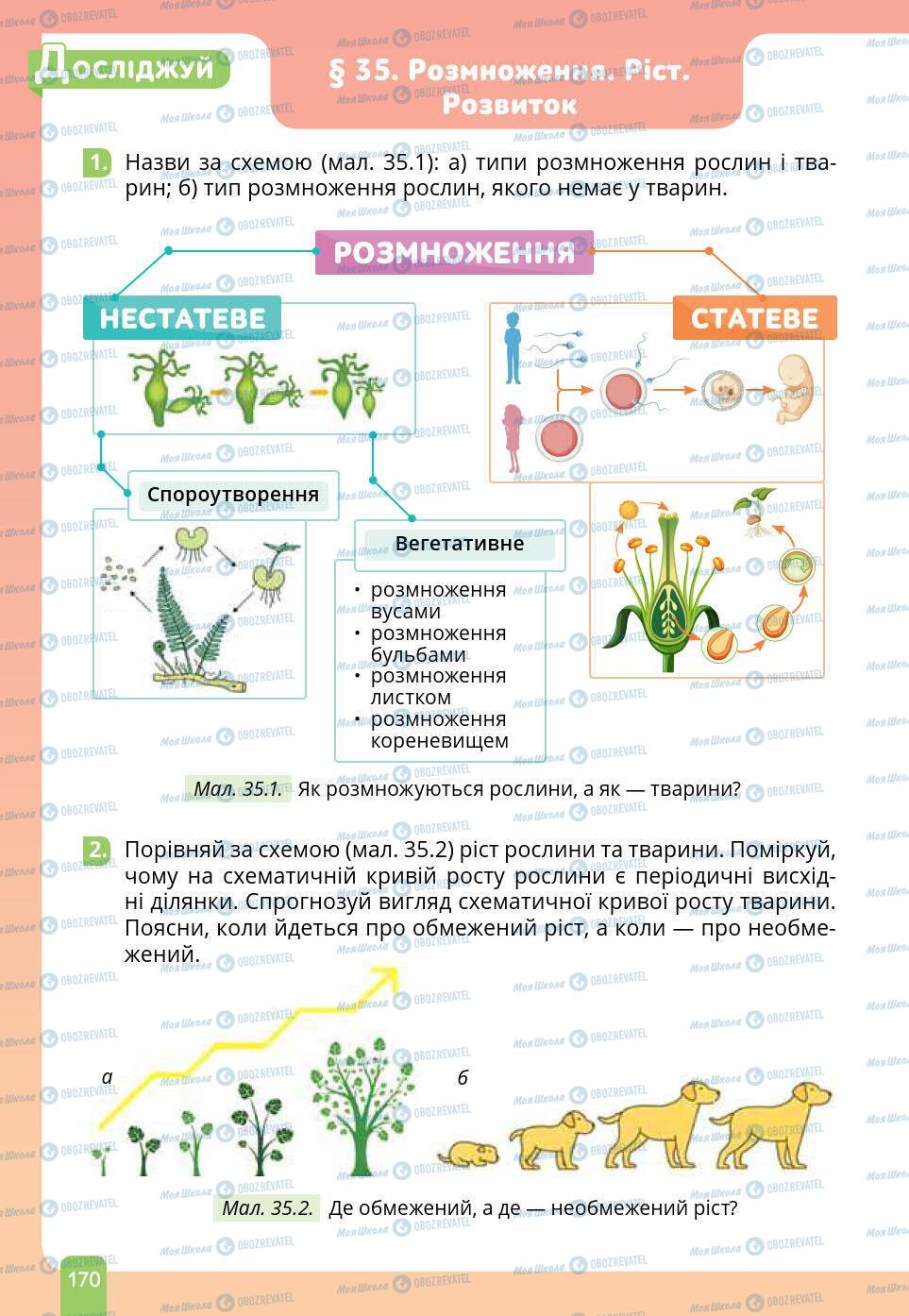 Підручники Природознавство 6 клас сторінка 170