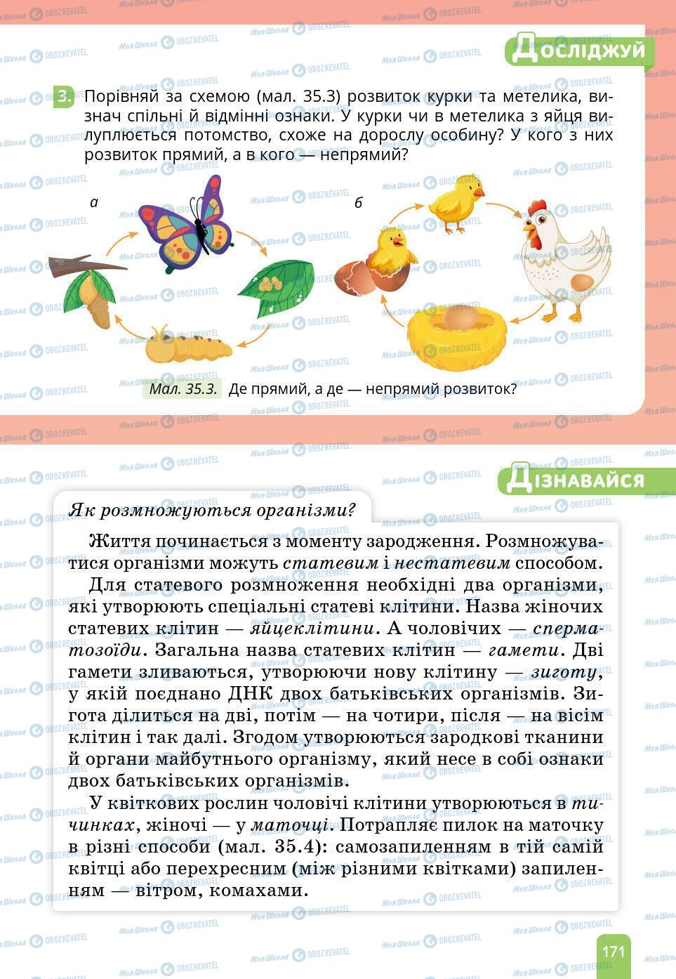 Учебники Природоведение 6 класс страница 171