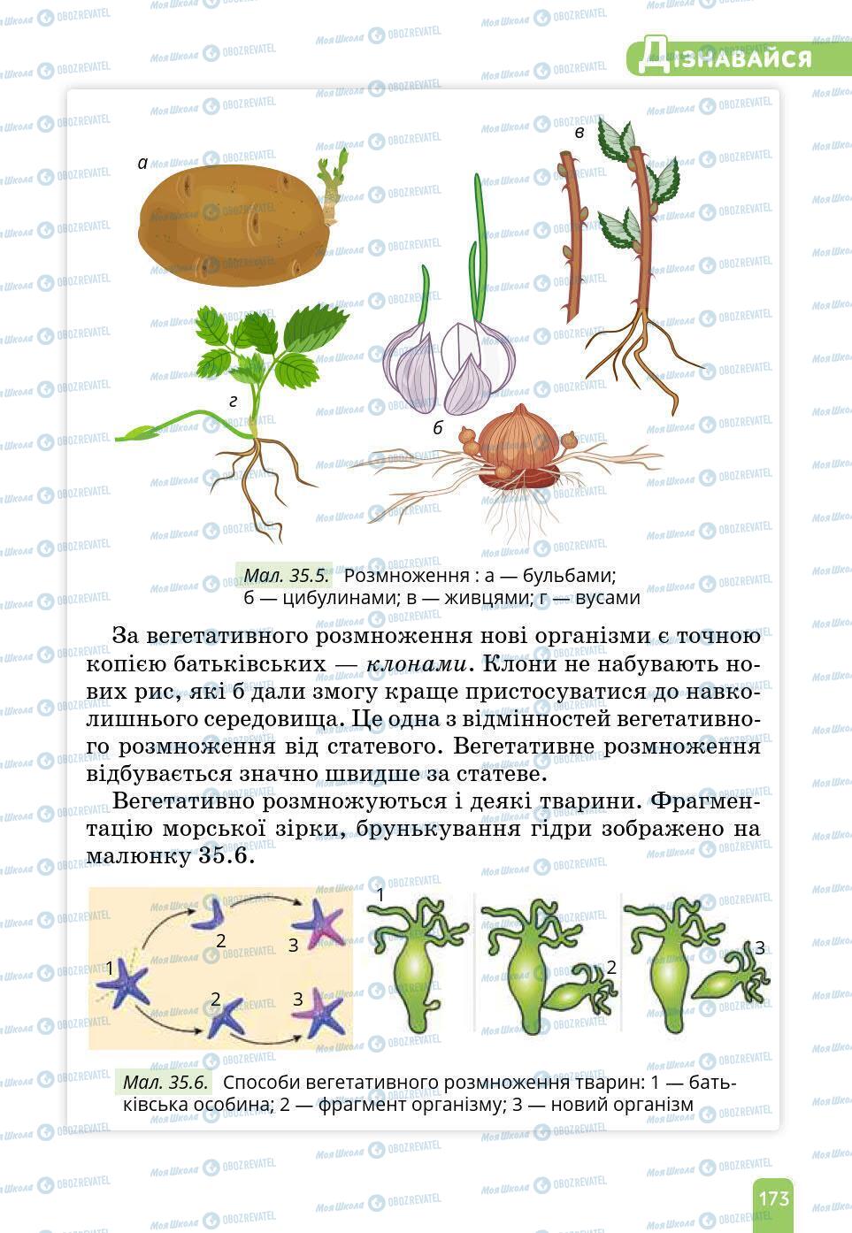 Підручники Природознавство 6 клас сторінка 173