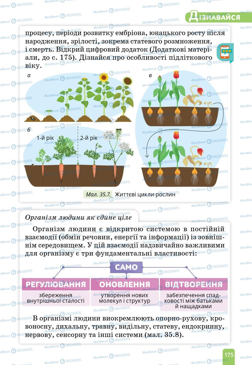 Учебники Природоведение 6 класс страница 175