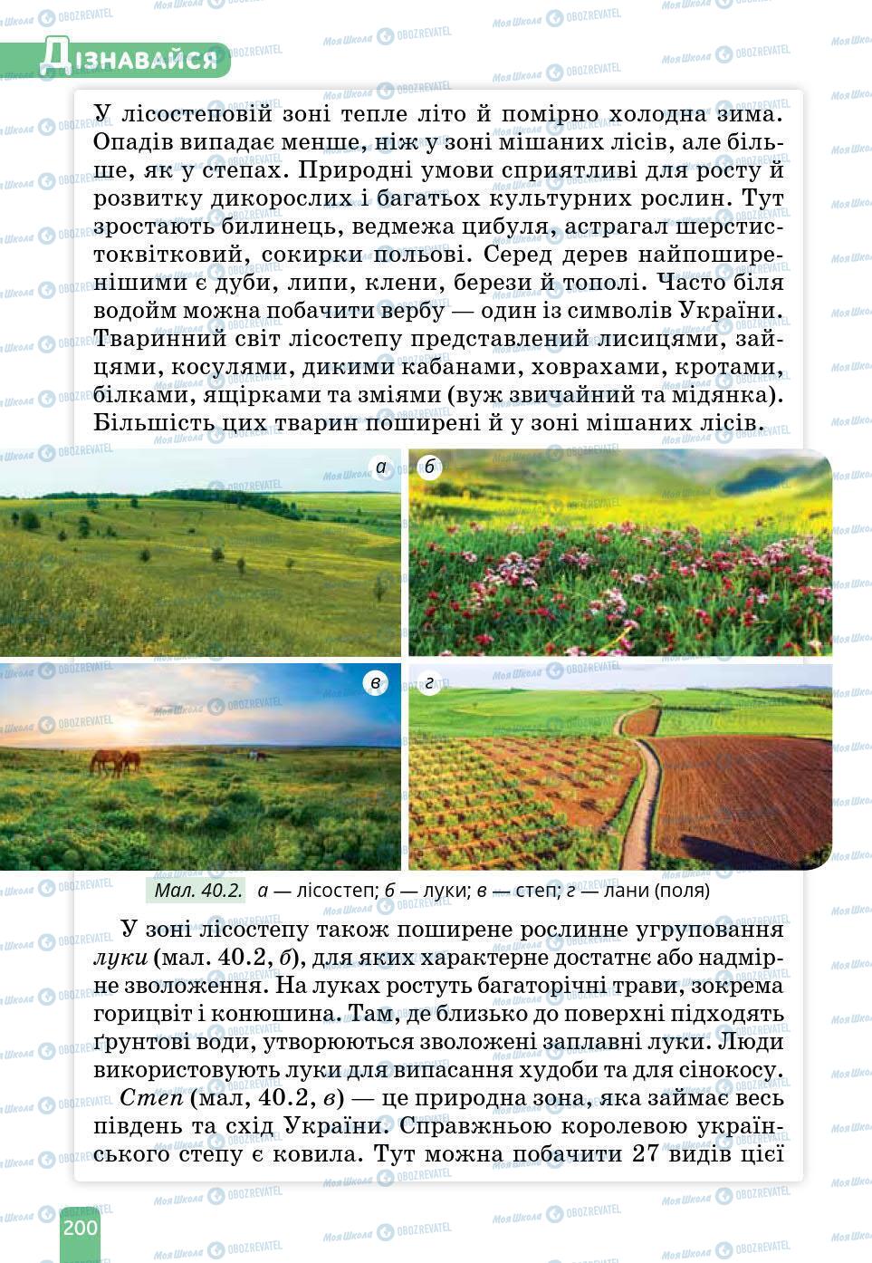 Підручники Природознавство 6 клас сторінка 200