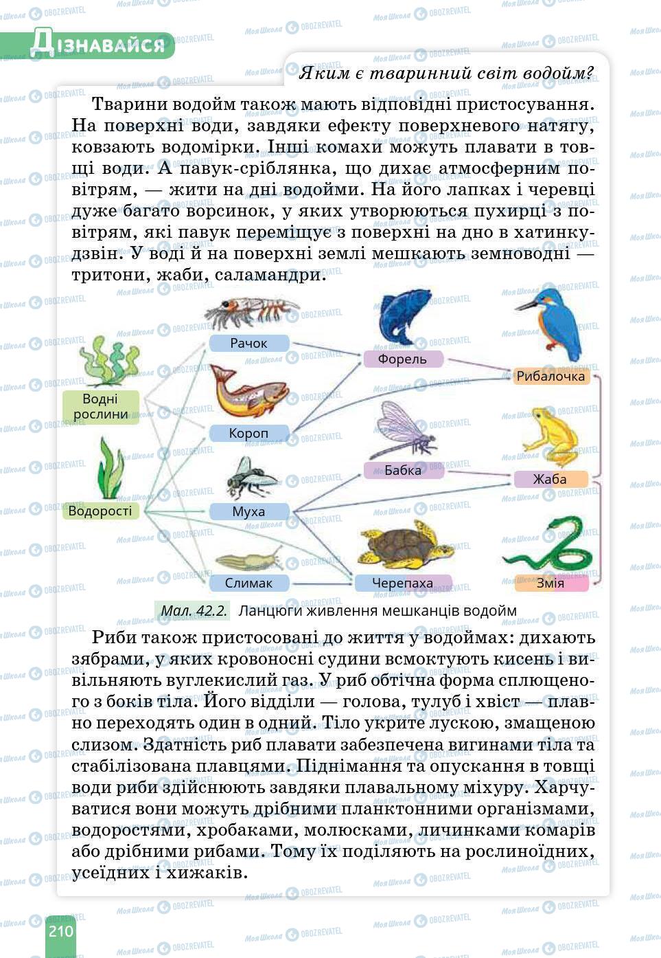 Учебники Природоведение 6 класс страница 210