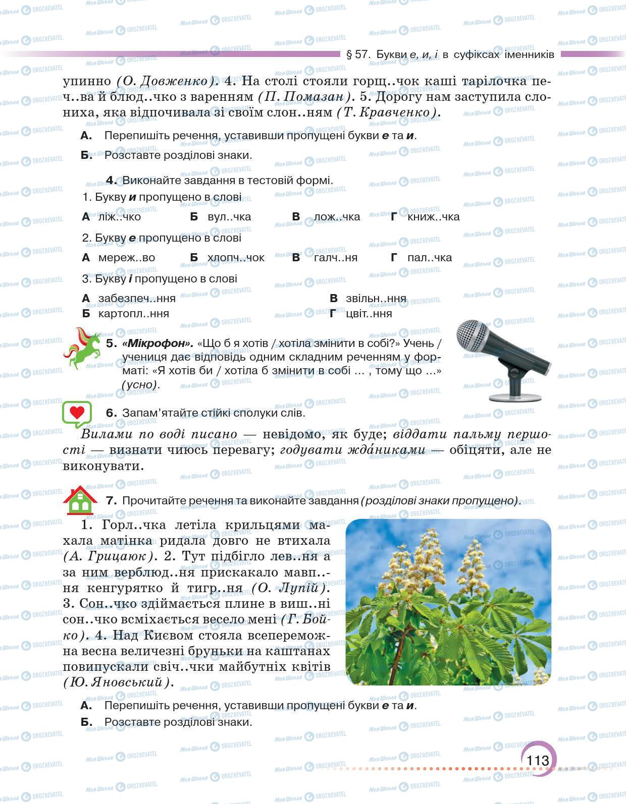 Підручники Українська мова 6 клас сторінка 113