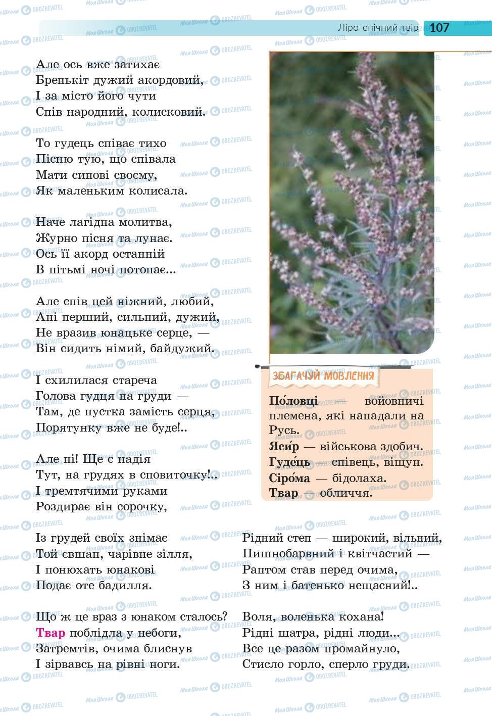 Підручники Українська література 6 клас сторінка 107