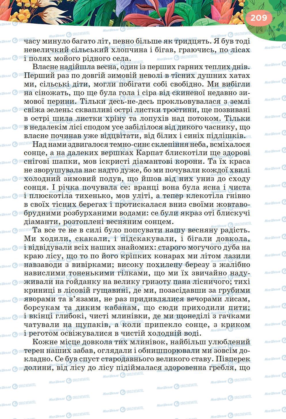 Підручники Українська література 6 клас сторінка 209