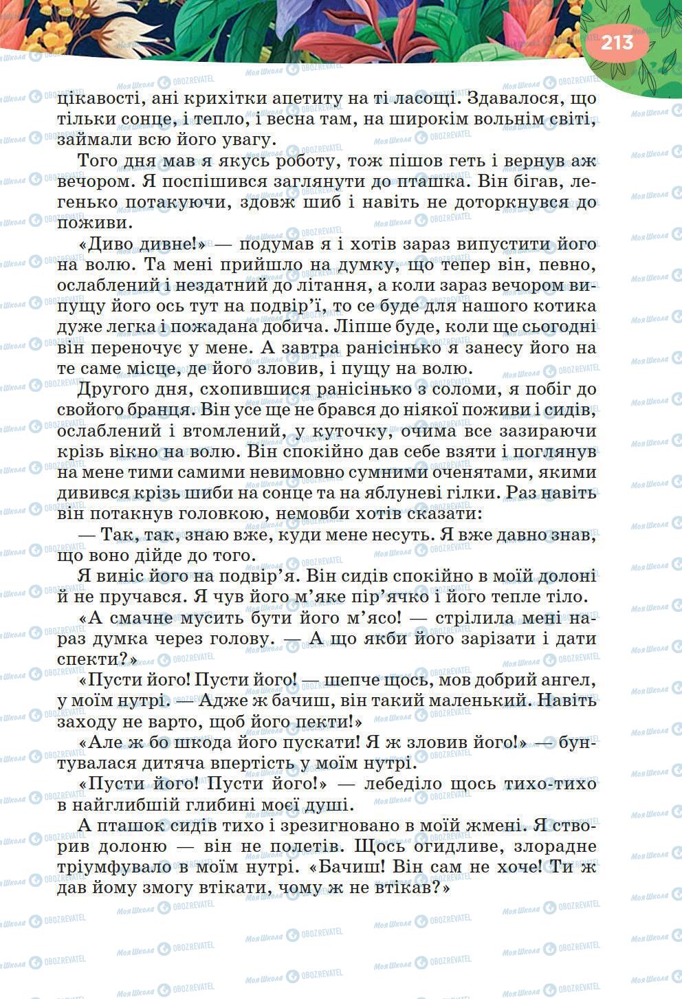 Підручники Українська література 6 клас сторінка 213