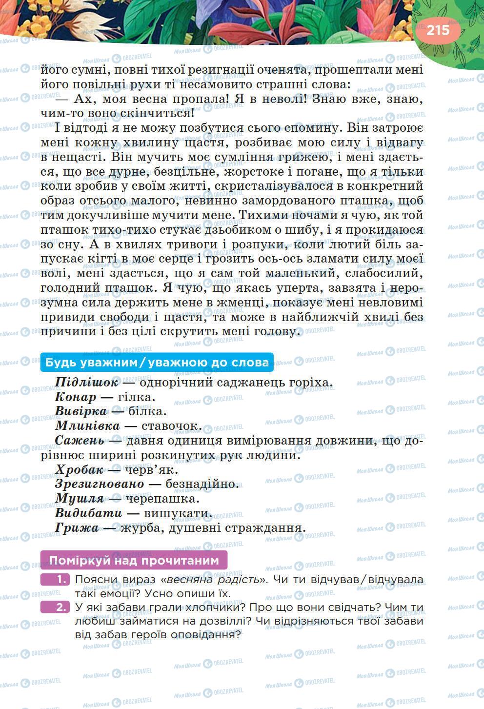 Підручники Українська література 6 клас сторінка 215