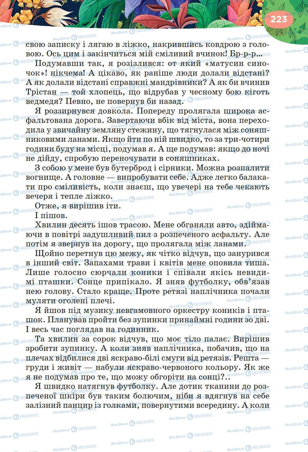 Підручники Українська література 6 клас сторінка 223