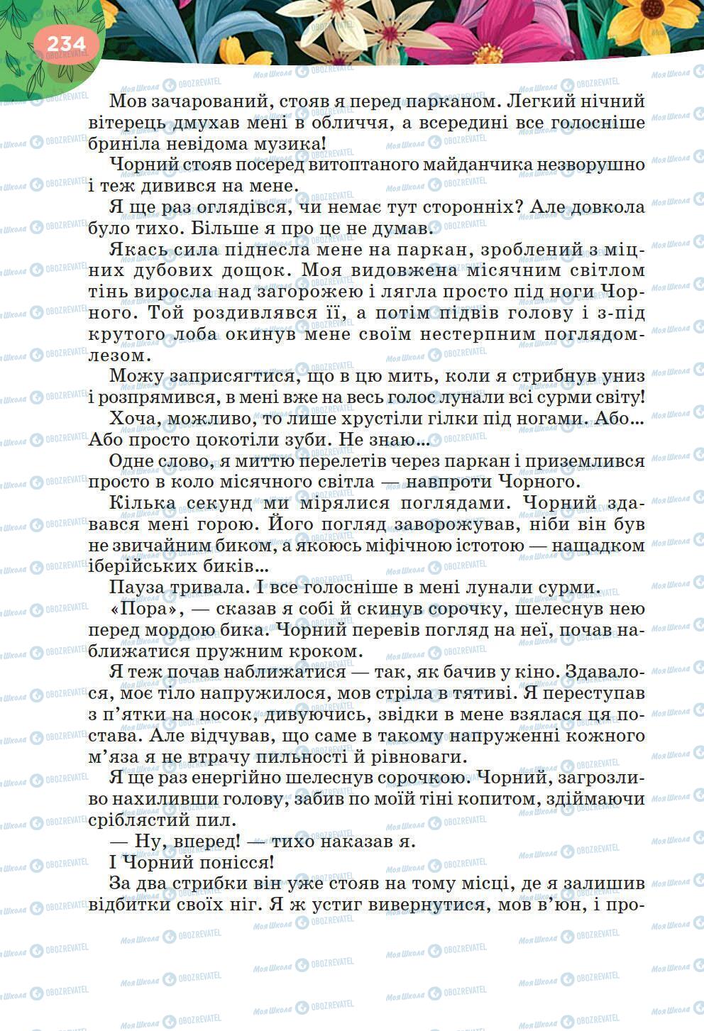 Підручники Українська література 6 клас сторінка 234