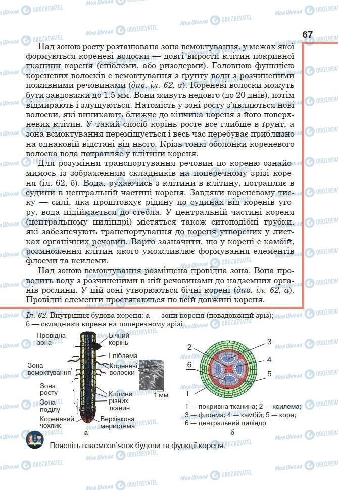 Підручники Біологія 7 клас сторінка 67