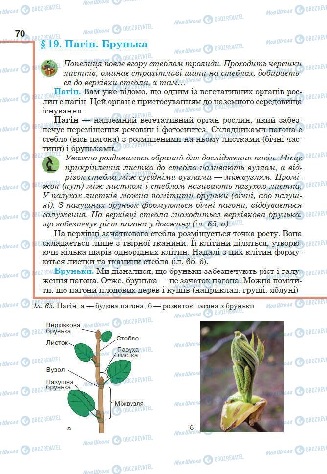 Підручники Біологія 7 клас сторінка 70
