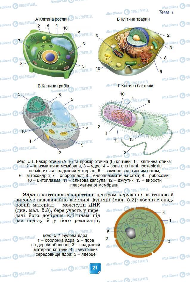 Підручники Біологія 7 клас сторінка 21