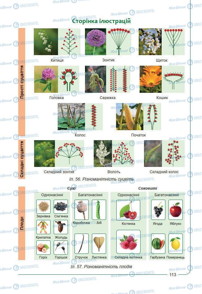 Підручники Біологія 7 клас сторінка 113