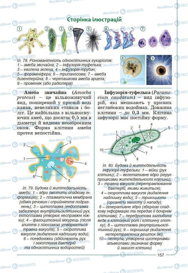 Підручники Біологія 7 клас сторінка 157