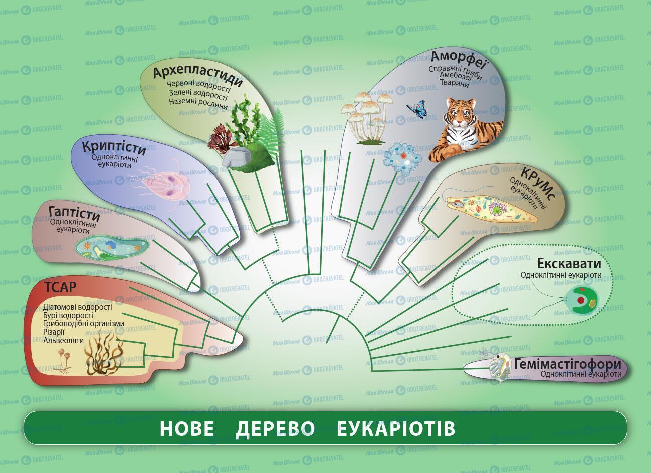 Підручники Біологія 7 клас сторінка 1280