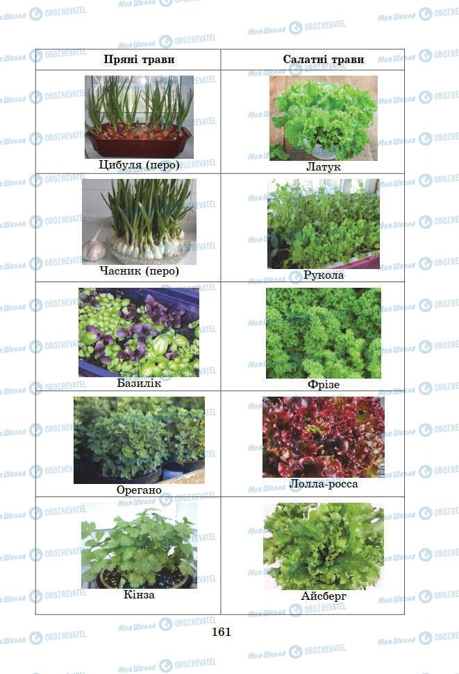 Підручники Інформатика 7 клас сторінка 161