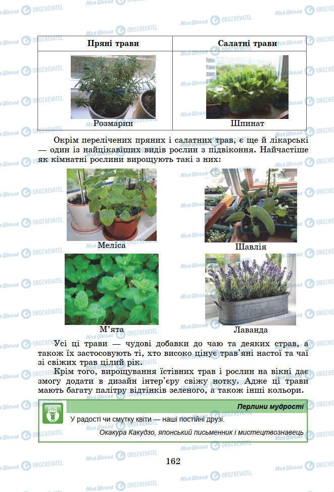 Підручники Інформатика 7 клас сторінка 162