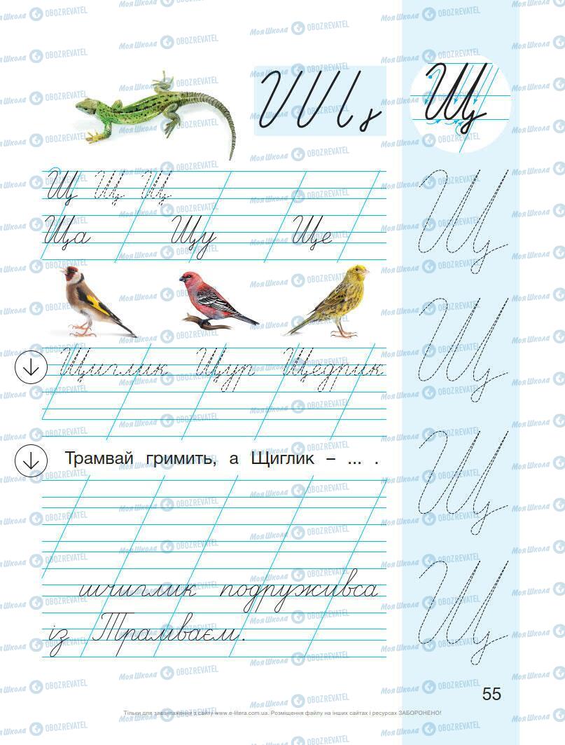 Підручники Українська мова 1 клас сторінка Сторінка  55