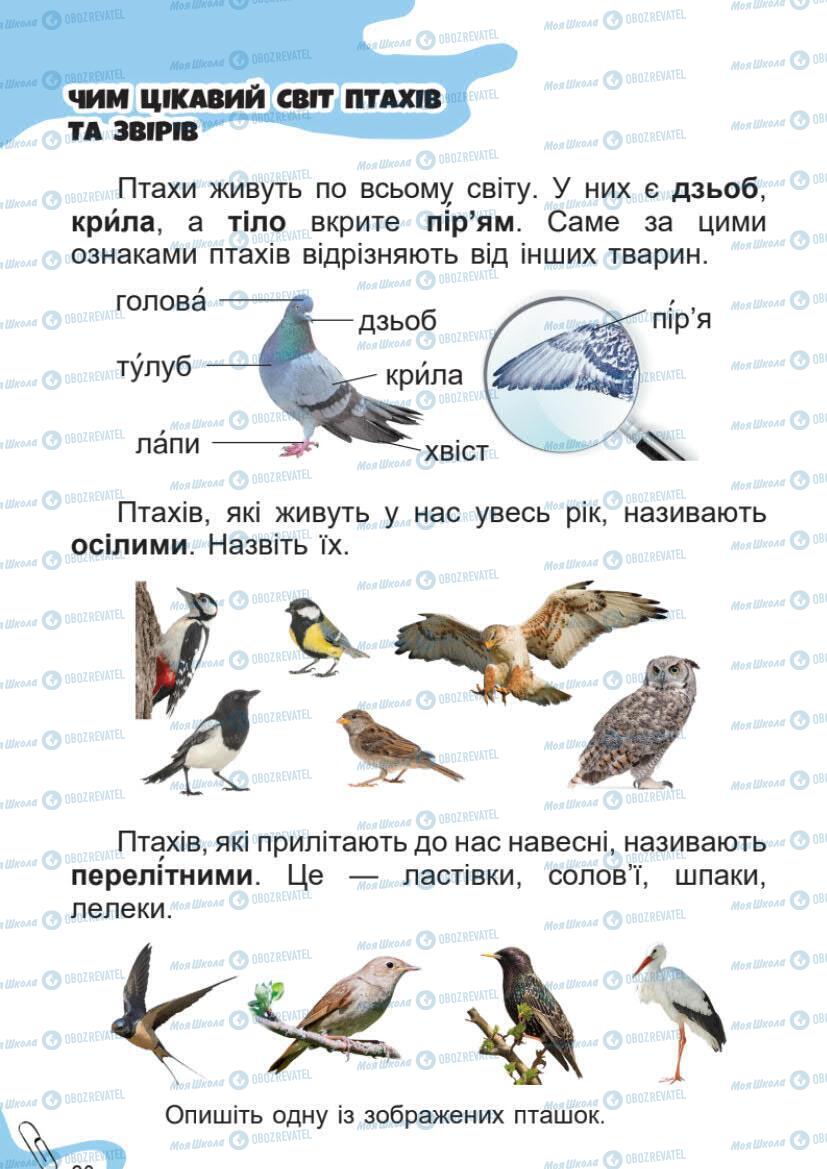 Підручники Я досліджую світ 1 клас сторінка 20